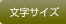 文字サイズ