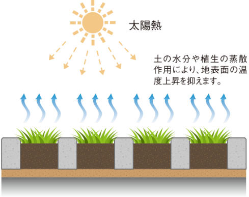 太陽熱 土の水分や植生の蒸散作用により、地表面の温度上昇を抑えます。